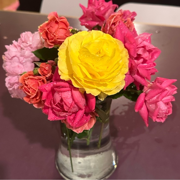 Meet your Posher, - Picture 10 of 15